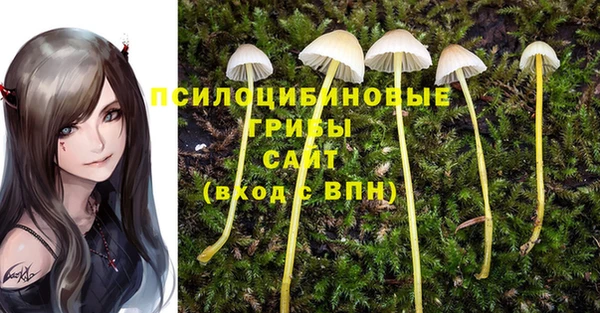 первитин Зерноград