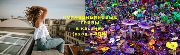 ECSTASY Зеленокумск