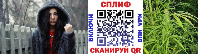 Марихуана план  Купить закладки  Пугачёв 